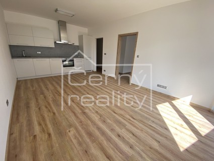 Pronájem luxusního bytu 2+kk (53m2)/balkon (5,5m2) /park.stání, 4patro, Na Spravedlnosti - Fotka 2