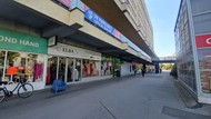 Fotka 8