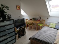 Pronájem bytu 1+kk (26m2), Pardubice, Žel. Pluku