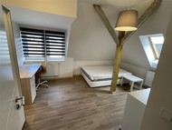 Pronájem zařízeného bytu 1+1 (40m2) ve Vile v HK