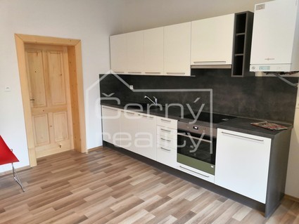 Pronájem luxusního vybaveného bytu 2+kk (46m2) v Pardubicích, zvýšené přízemí v RD - Fotka 4